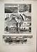 1881 Small Pox Epidemic Floating Hospital Thames Horses