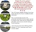 Search : The Fantastic Generate Extra Cash, Inner Game and Biz Networking for Poems On-line Businesses 3 CD Pack