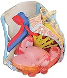 Female Pelvis Model with Ligaments, midsagitally sectioned through pelvic floor muscles organs, 4 p