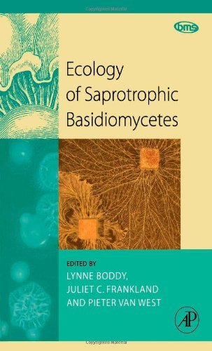 Ecology of Saprotrophic Basidiomycetes (British Mycological Society Symposia Series)