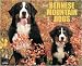 Just Bernese Mountain Dog 2009 Calendar From Willow Creek