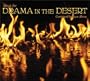 Music from Drama in the Desert: The Sights and Sounds of Burning Man