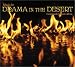 Search : Music from Drama in the Desert: The Sights and Sounds of Burning Man