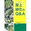 知っておきたい屋上緑化のQ&A