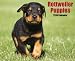Rottweiler Puppies 2010 Calendar