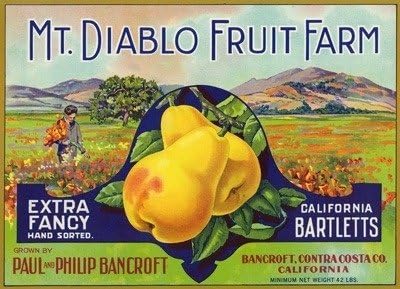 Mt. Diablo Pear Label : Bancroft, California - Restored Vintage Fruit Label Print