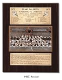 Miami Dolphins Large Healy Plaque - 1973 Super Bowl Champs
