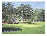 The 11th at Augusta ? White Dogwood, Art Poster by Bernard Willington