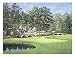 The 11th at Augusta ? White Dogwood, Art Poster by Bernard Willington
