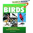 Encyclopedia Of North American Birds: An Essential Guide To Common Birds Of North America by Derek Hall