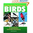 Encyclopedia Of North American Birds: An Essential Guide To Common Birds Of North America