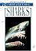Book Sharks: White Star Guides Underwater World (White Star Guides)