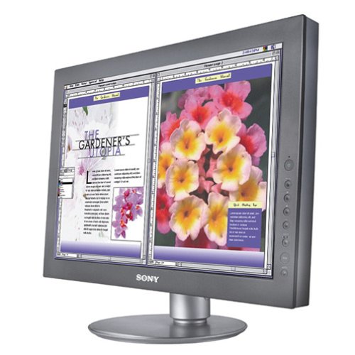 Sony DeluxePro SDM-X93/B 19 LCD Monitor (Black)