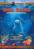 Sea Lions: A California Adventure