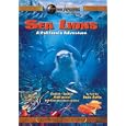 Sea Lions: A California Adventure