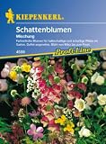 Details zu "Schattenblumen Mischung ein- und mehrjährig" Details zu "Schattenblumen Mischung ein- und mehrjährig"