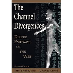 The Channel Divergences: Deeper Pathways of the Web