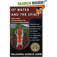 Of Water and the Spirit: Ritual, Magic and Initiation in the Life of an African Shaman (Arkana)