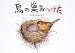 鳥の巣みつけた
