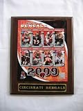 Cincinnati Bengals Picture Plaque