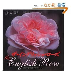 �U�E�C���O���b�V���E���[�Y