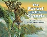 The Forest in the Clouds
