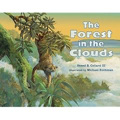 The Forest in the Clouds