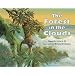The Forest in the Clouds