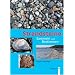 Strandsteine. Sammeln und Bestimmen.