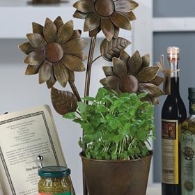 KITCHEN HERBS POT SUNFLOWER flower garden pottery sun