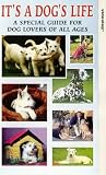 Review Global Video Marketing Ltd.  / It's A Dog's Life