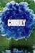 Books : Chihuly