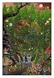 (24x36) Tom Masse (Celestial Harvest) Art Poster Print