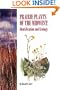 Prairie Plants of the Midwest: Identification and Ecology
