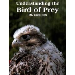 Understanding the Bird of Prey
