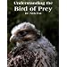Understanding the Bird of Prey