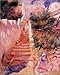 Renoir and Algeria