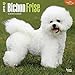 Bichon Frise 2015 Wall Calendar