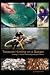 Search : Treasure Hunting on a Budget