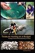 Treasure Hunting on a Budget