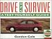 Drive and Survive: A Test Yourself Guide
