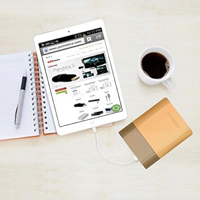 Portronics Velocity 13400 mAh Power Bank-Golden