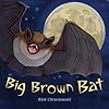 Big Brown Bat