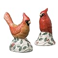 Pfaltzgraff Winterberry Cardinal Salt & Pepper Set