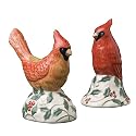 Pfaltzgraff Winterberry Cardinal Salt & Pepper Set