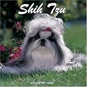 Shih Tzu 2007 Wall Calendar