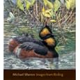 Images from Birding (Wildlife Art Series) by Michael Warren