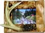 River's Edge Genuine Firwood Horizontal 4 x 6 Picture Frame with Hand Painted Poly Resin Deer Antler Accent