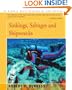 Sinkings, Salvages and Shipwrecks
