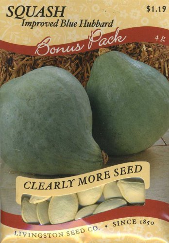 Can You Freeze Squash